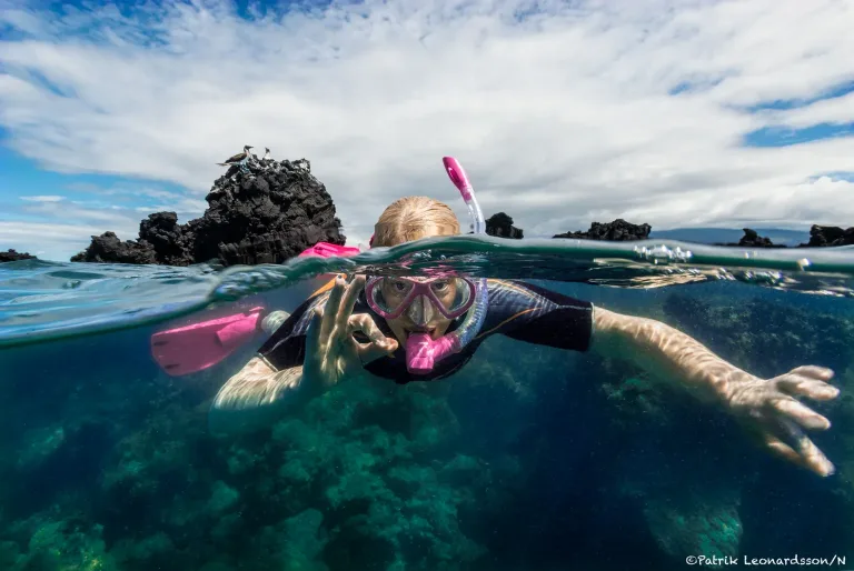 Splittbild, Galapagos