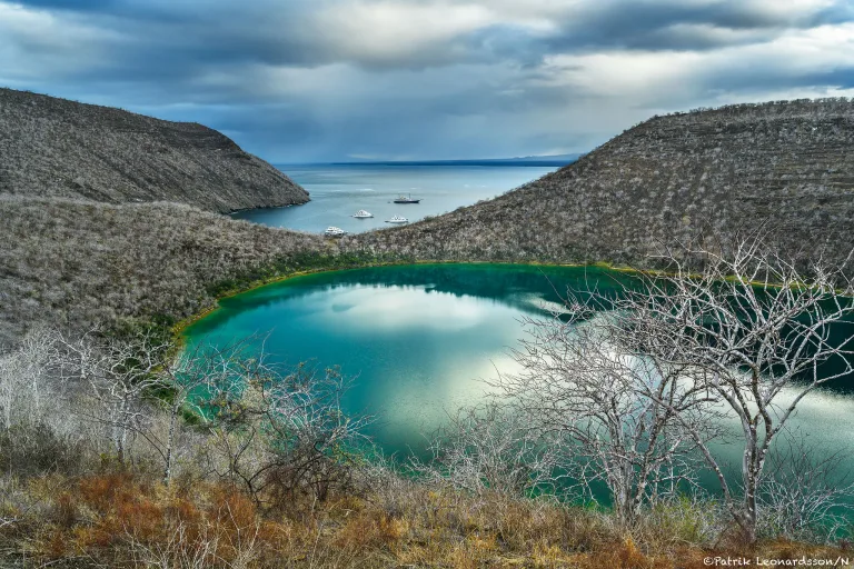 Galapagos