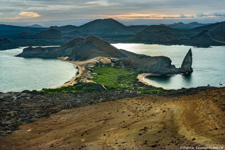 Galapagos