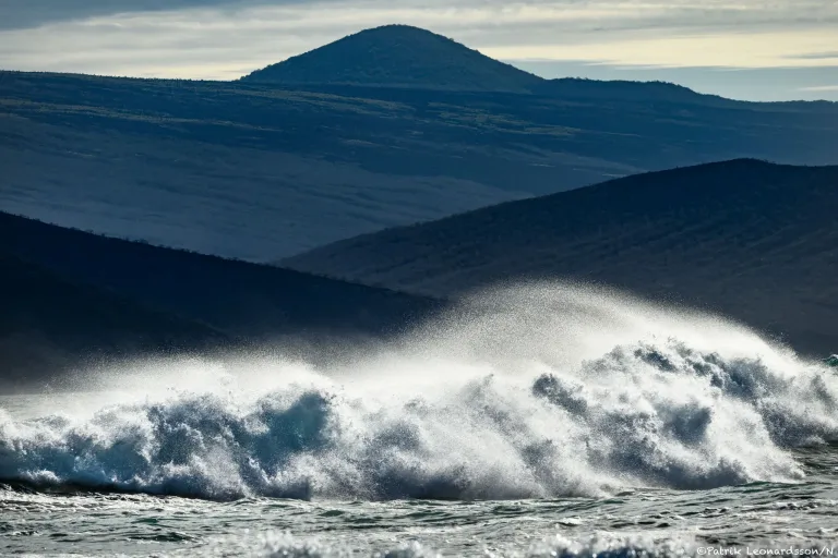 Vågor, Galapagos